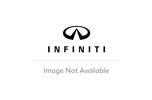 Image of Pet Ramp image for your INFINITI